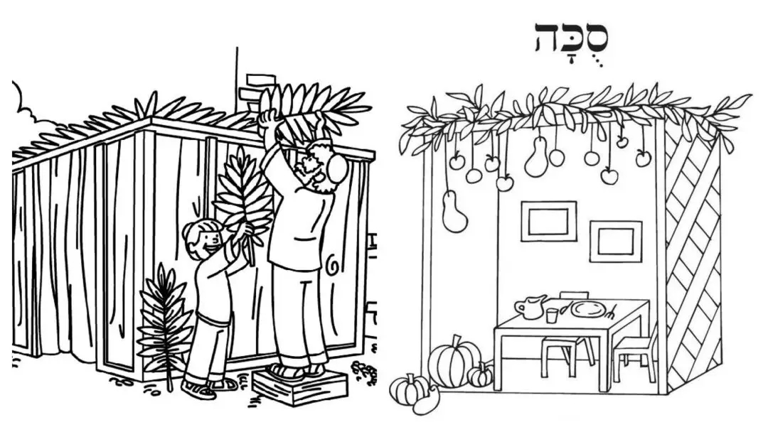 住棚节快乐！Happy Sukkot!(图2)